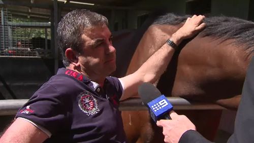 Racehorse trainer Mark Kavanagh spoke to 9NEWS.