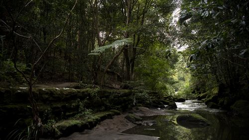 Flat Rock Creek