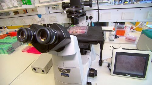 It's hoped that this groundbreaking research will help children like Harry get individualised eye reconstructions. Picture: 9NEWS