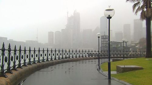 Sydney Harbour remains wet after overnight drenching