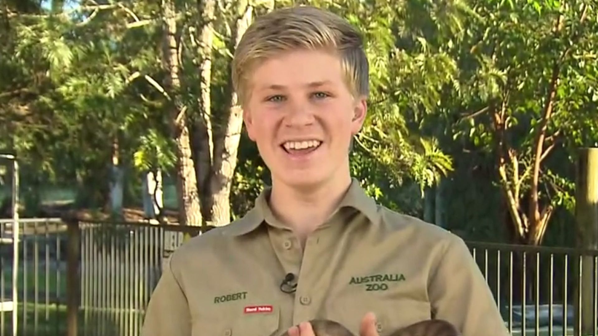 robert irwin promises animal surprises at logies today 2018