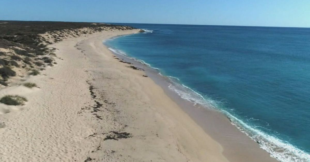WA shark attack leaves 11-year-old boy with serious injuries - 9News