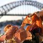 Sydney named in top cities for foodie travellers