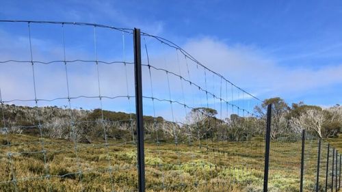 Deer exclusion fence on the Bogong High Plains, Victoria