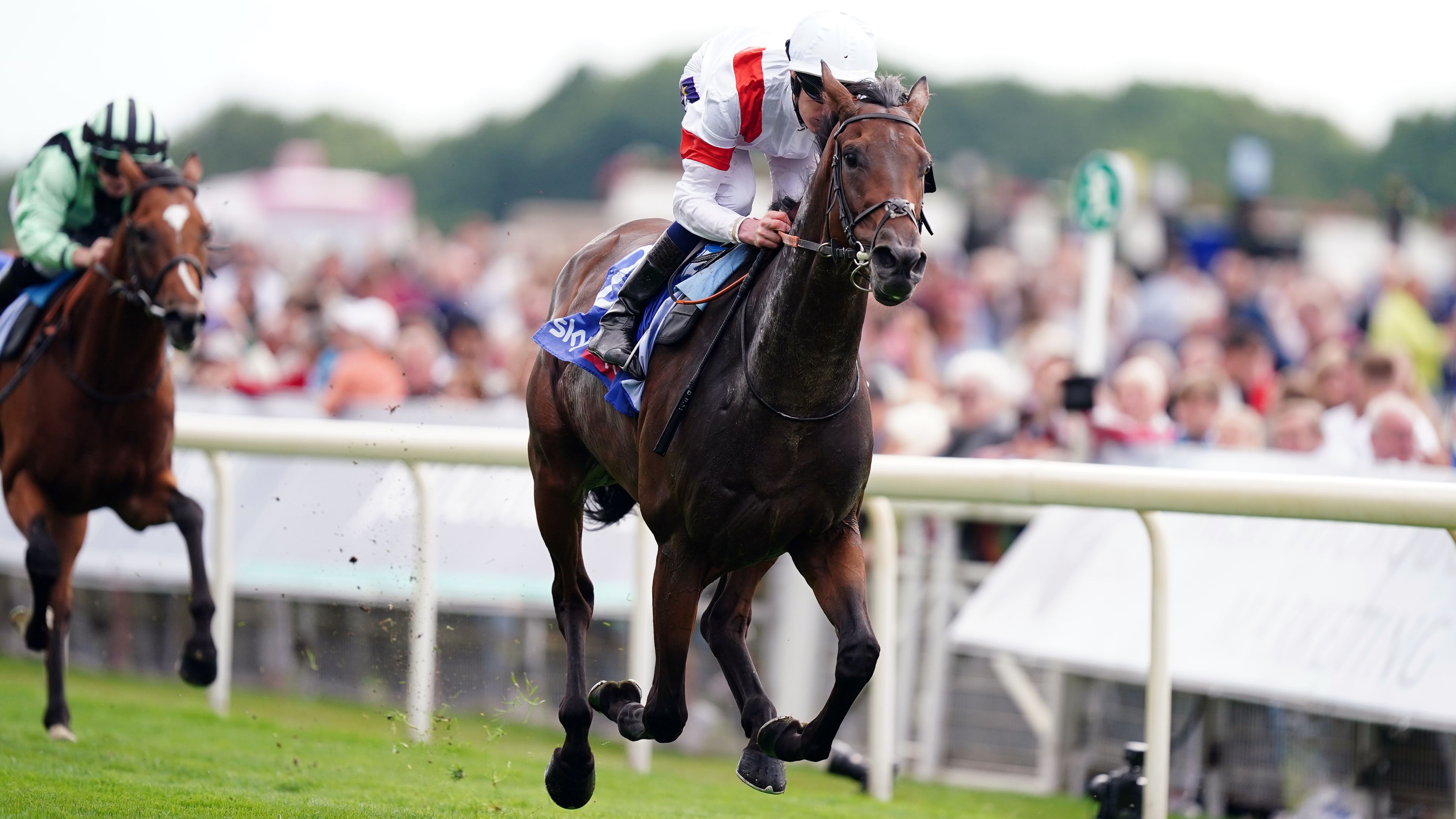 Deauville Legend ridden by Daniel Muscutt on their way to winning the Sky Bet Great Voltigeur Stakes at York Racecourse.