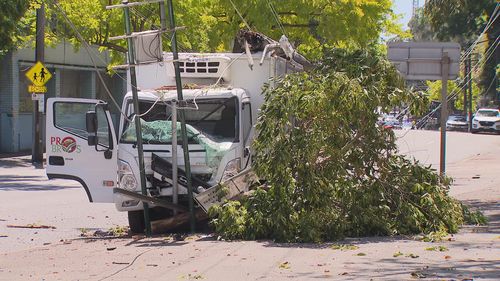 Businesses in Sydney's South are without power tonight after a truck crash brought down wires.The driver's day only got worse following the incident, with his vehicle catching on fire. 