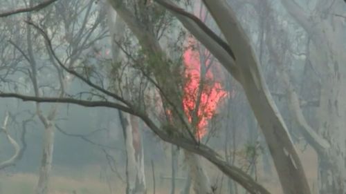 The blaze is now under control. (9NEWS)