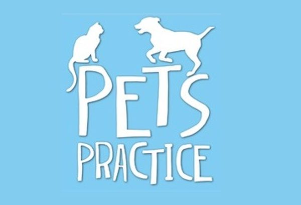 Pets Practice