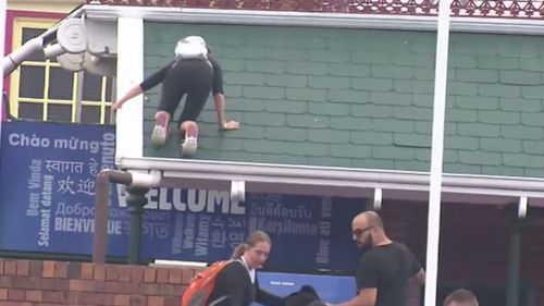 A protester climbing the roof at a Queensland theme park.
