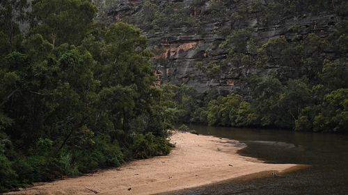 Missing girl Blue Mountains