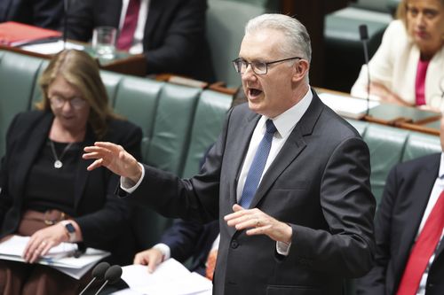 Minister for Home Affairs, Minister for Immigration and Multicultural Affairs, Minister for Cyber Security, Minister for the Arts and Leader of the House Tony Burke during Question Time at Parliament House in Canberra on Thursday 13 February 2025. fedpol Photo: Alex Ellinghausen