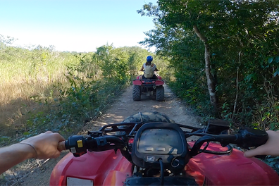 celebrity xcel cruise