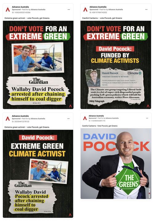 Advance Australia has placed a number of ads claiming David Pocock, an independent running for an ACT Senate position, is an undercover Green. 