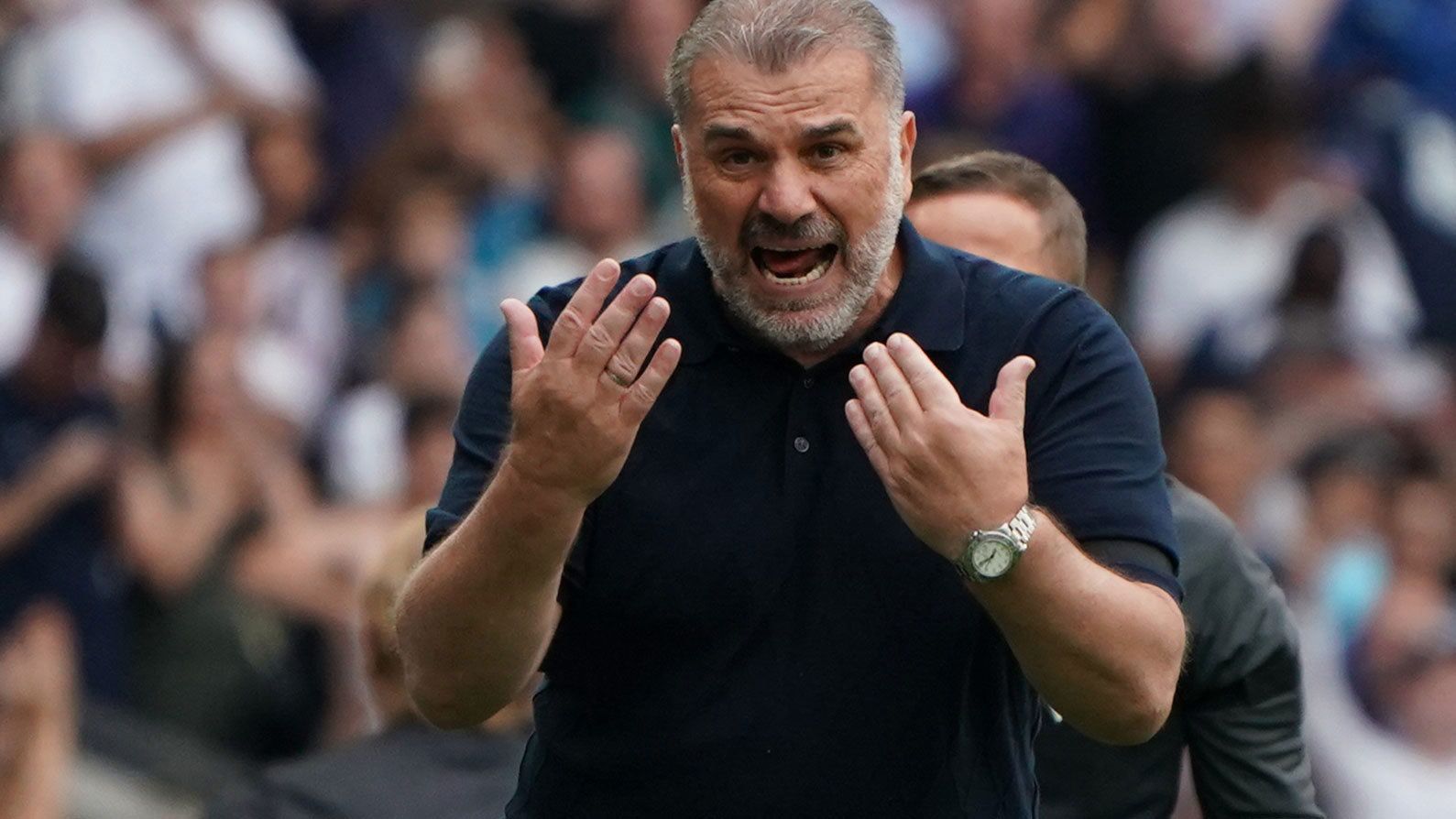Ange Postecoglou gestures during the Premier League match between Tottenham Hotspur and Sheffield United. 