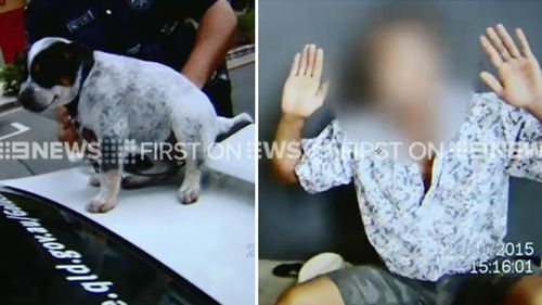 The cattle dog pup (left), and a man arrested at a Broadbeach premises (right). (9NEWS)