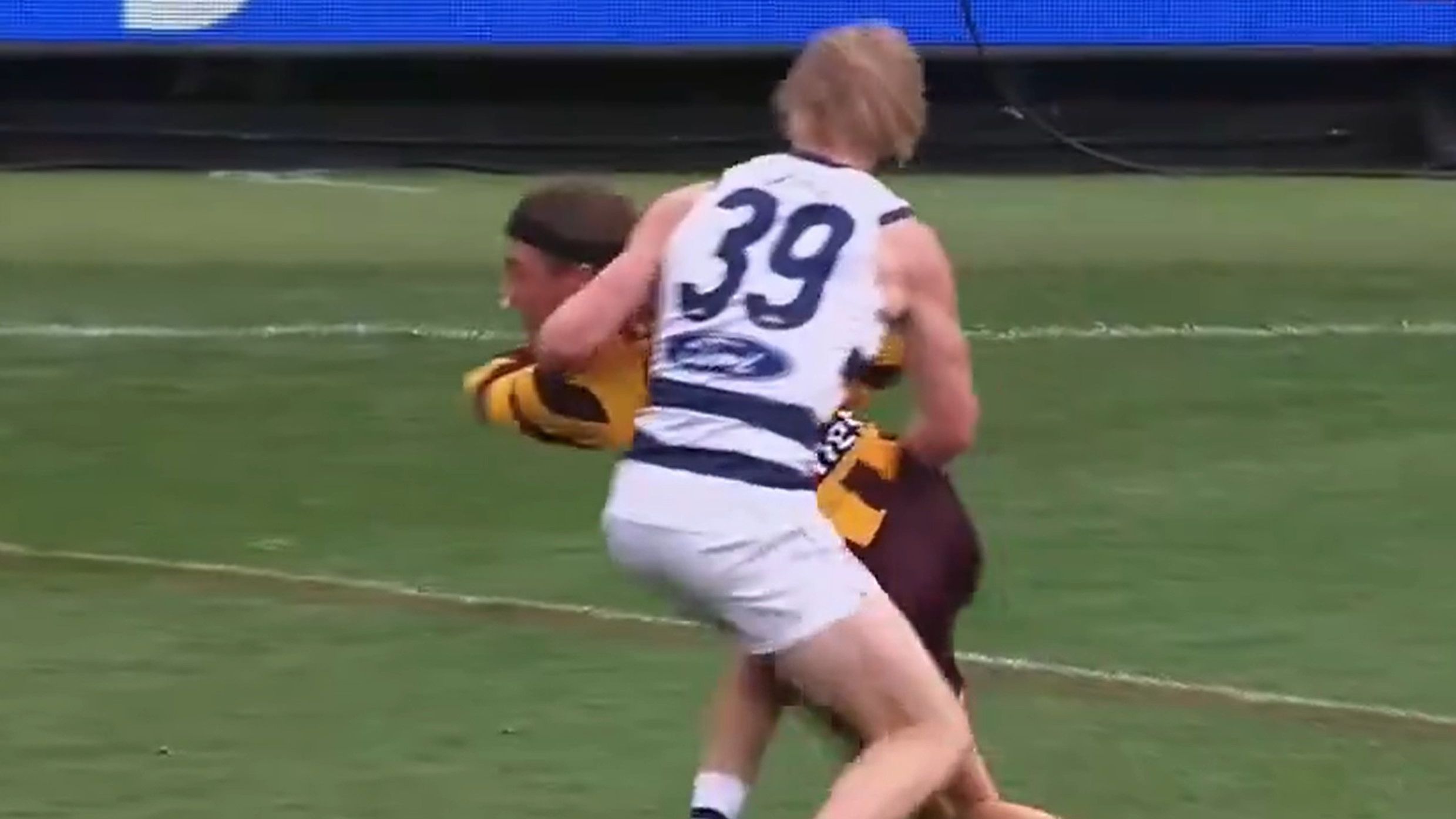 'Never whinge': Hawthorn coach Sam Mitchell reveals what he really thinks of Jack Ginnivan ducking uproar