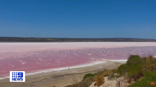 The mystery of why a body of water in Queensland turned a vivid shade of pink has been solved.