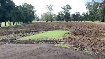 The entire golf course was essentially destroyed.