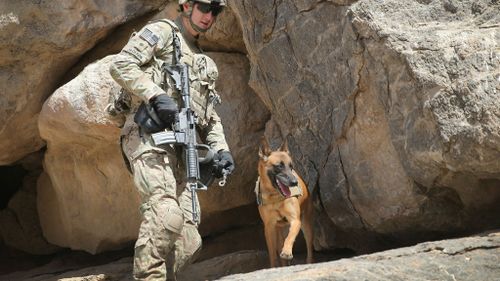 US war dogs now guaranteed safe return home after serving