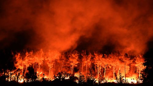 Thousands evacuated after wildfires burn though southern France and Portugal 