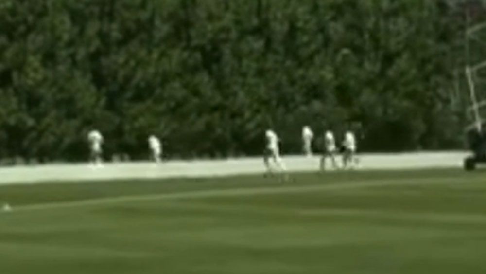 Shield cricketers search bushes for lost ball 
