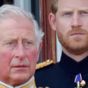 Why Charles and Harry's 'peace talks' were a 'set up'