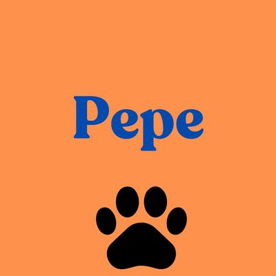 2. Pepe