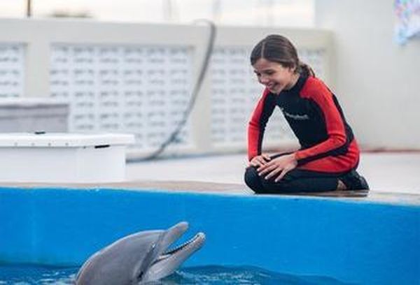 Bernie the Dolphin 2