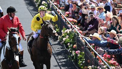 Spectators strain for pic of champion