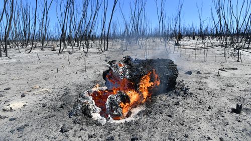 Damage in the Flinders Chase National Park after bushfires swept through on Kangaroo Island.