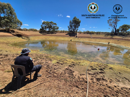Police have drained a large dam on the remote SA farm where Gus Lamont disappeared just over a month ago.