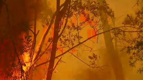 Firefighters are still tackling over 150 blazes across NSW.