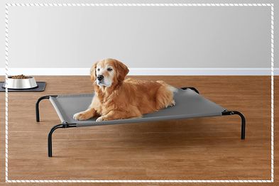 9PR: Cooling Elevated Dog Bed with Metal Frame﻿