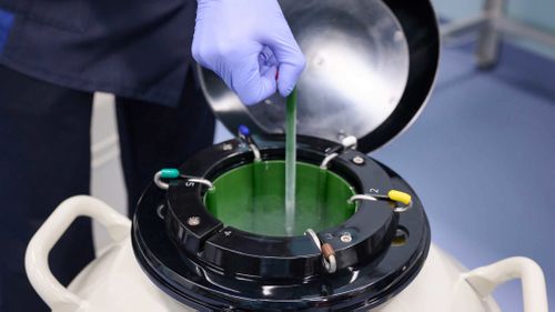 The embryos were flown interstate in a temperature-controlled cannister.