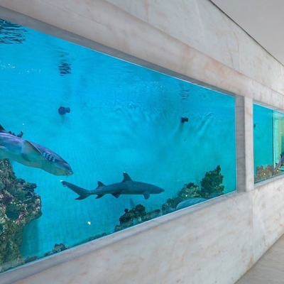 Luxury shark tank listing in New South Wales has bite