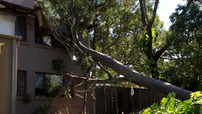 Wet, wild and windy: Heavy storms lash Queensland’s coast (Gallery)