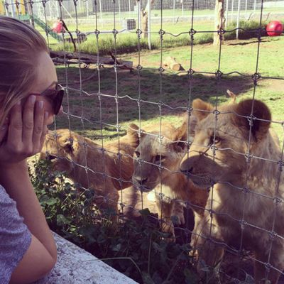 Kaley meets lion friends El Generalito, Acapulco and Gustavo