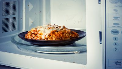 The rotating tray from your microwave