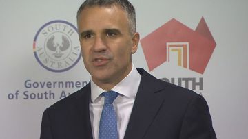 The South Australian Premier has announced a world-leading new set of laws that aim to ban donations to political parties, from organisations and individuals. Peter Malinauskas today acknowledged that the changes may not be universally popular within his party, but said election campaigning had become &quot;a playground for the rich&quot;.