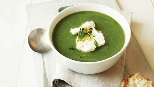 Minted pea soup