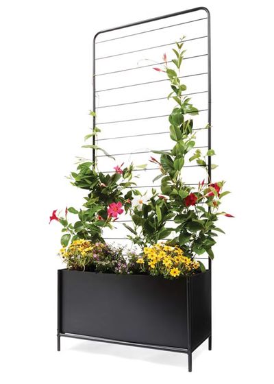 Metal planter with trellis: Kmart