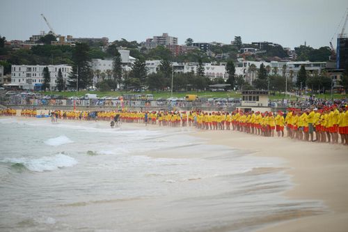 The lifeguards stood shoulder-to-shoulder in a single file line. 