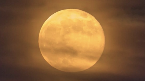 October's first full moon is the harvest moon on October 1, and the second full moon will occur on October 31. That's right: a full moon on Halloween.