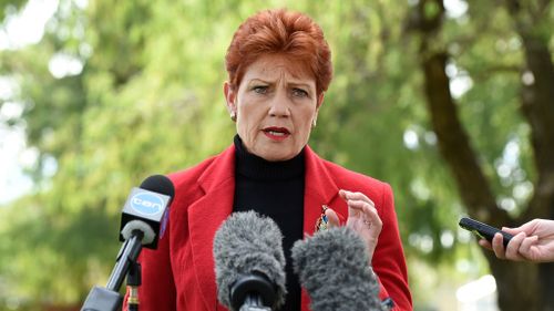 Pauline Hanson speaks to the media today. (AAP)