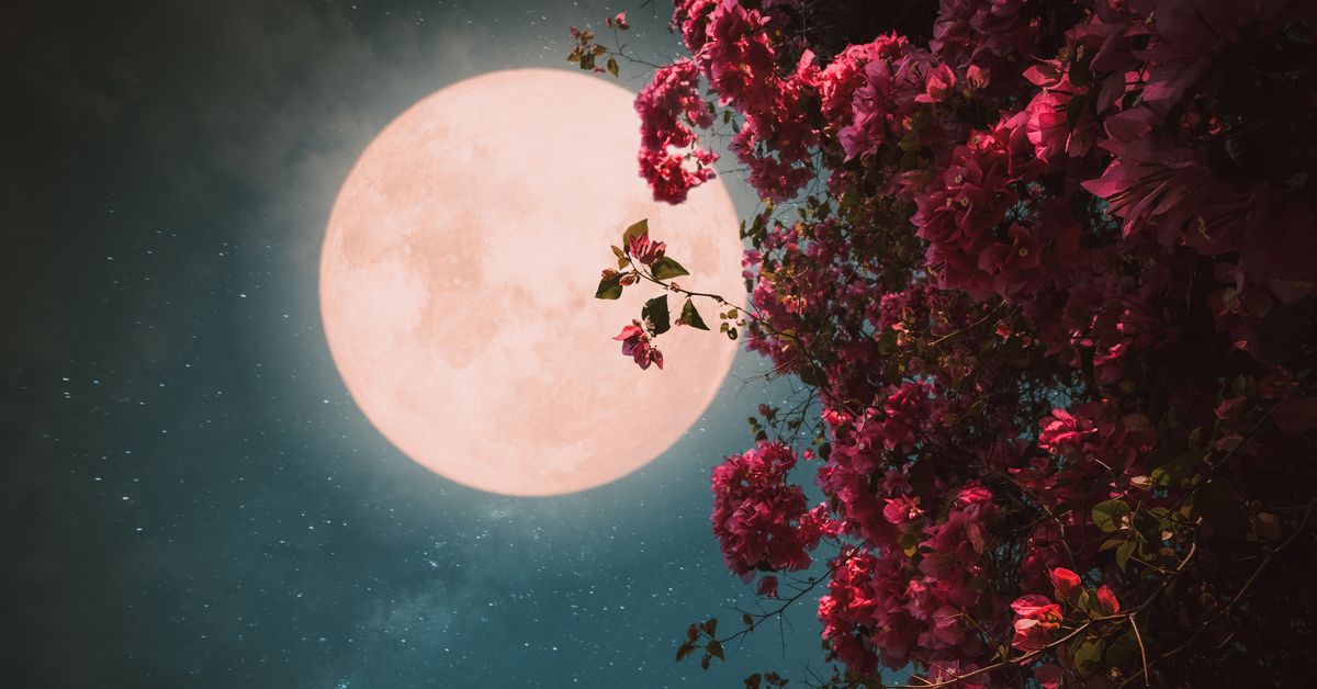 April’s pink full moon could bring ‘chaos’, astrologer warns