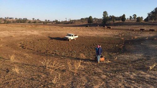 Drought Australia NSW assistance money fodder handouts Coonabarabran