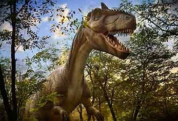 What is the region Tyrannosaurus rex inhabited now known as?
