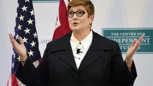 Australian Minister for Foreign Affairs and Women Senator Marise Payne is being urged to intervene in Mr Sarlak's case.