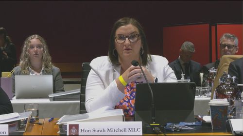 NSW Education Minister Sarah Mitchell during an estimates hearing.