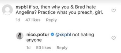 Brad Pitt, girlfriend, Nicole Poturalski, Instagram post, haters, replies to fan